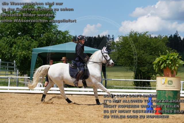 s_K3F06489.JPG